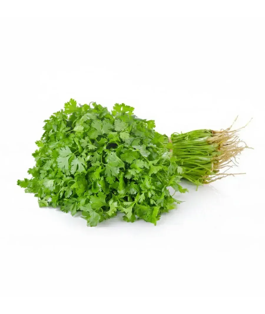 Coriander Leaves (Hara Dhaniya) 100gm