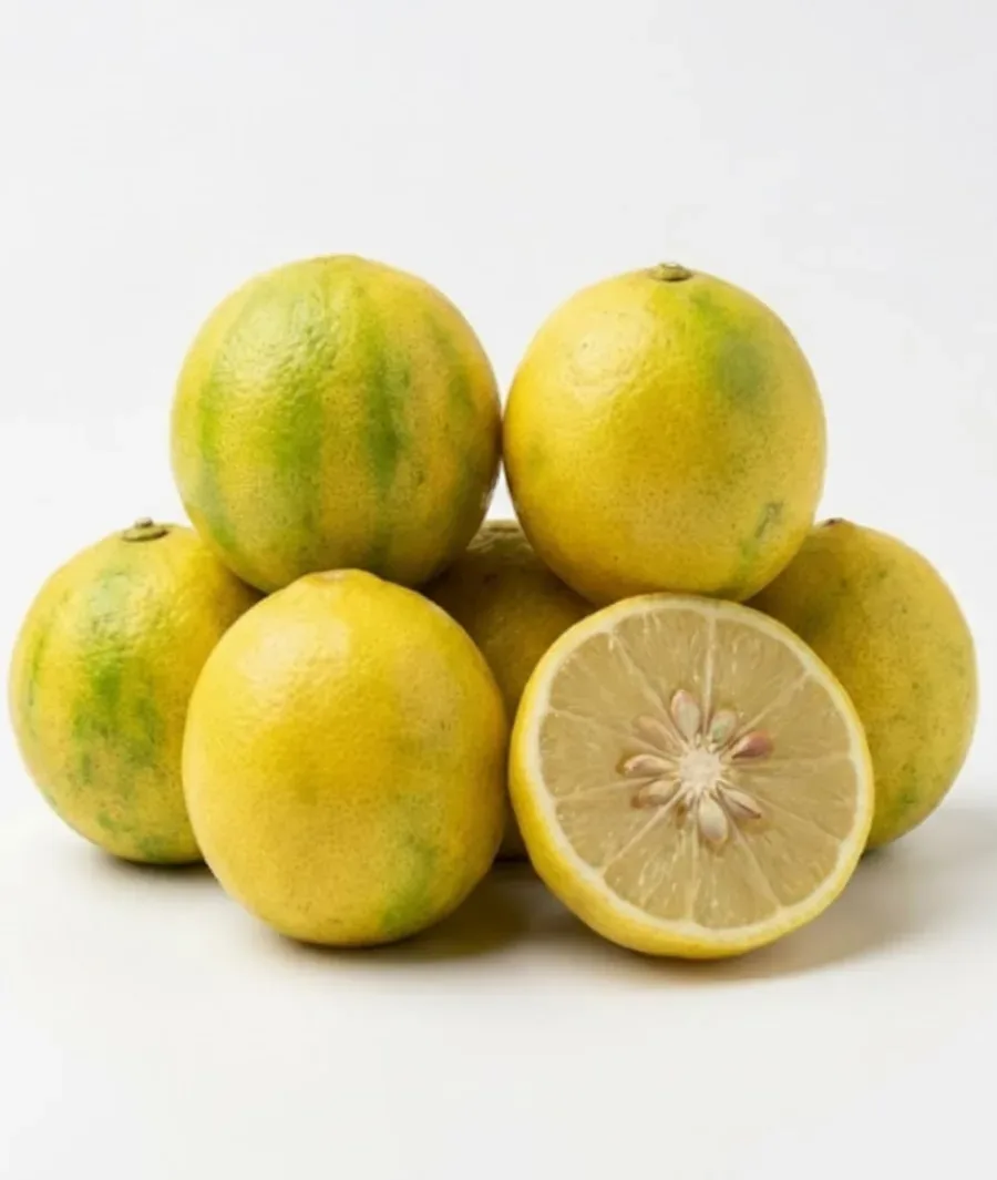 Lemon (Neebu / Nimbu) 2 pcs