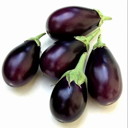 Brinjal /  (Baingan) 500gm