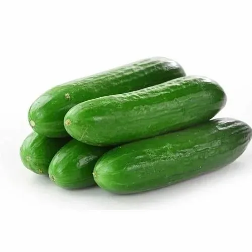 Cucumber (Kheera) 1kg